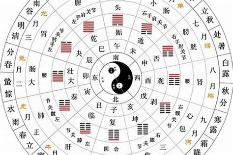 戊戌年五行|天干地支五行对照表，了解传统文化的钥匙